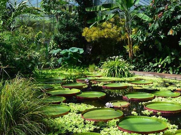 Bogor Adventure & Cultural